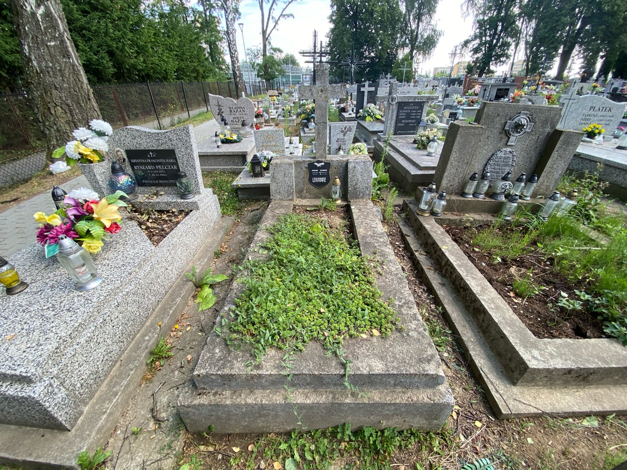 Karol Lenik 1881 Krosno - Grobonet - Wyszukiwarka osób pochowanych