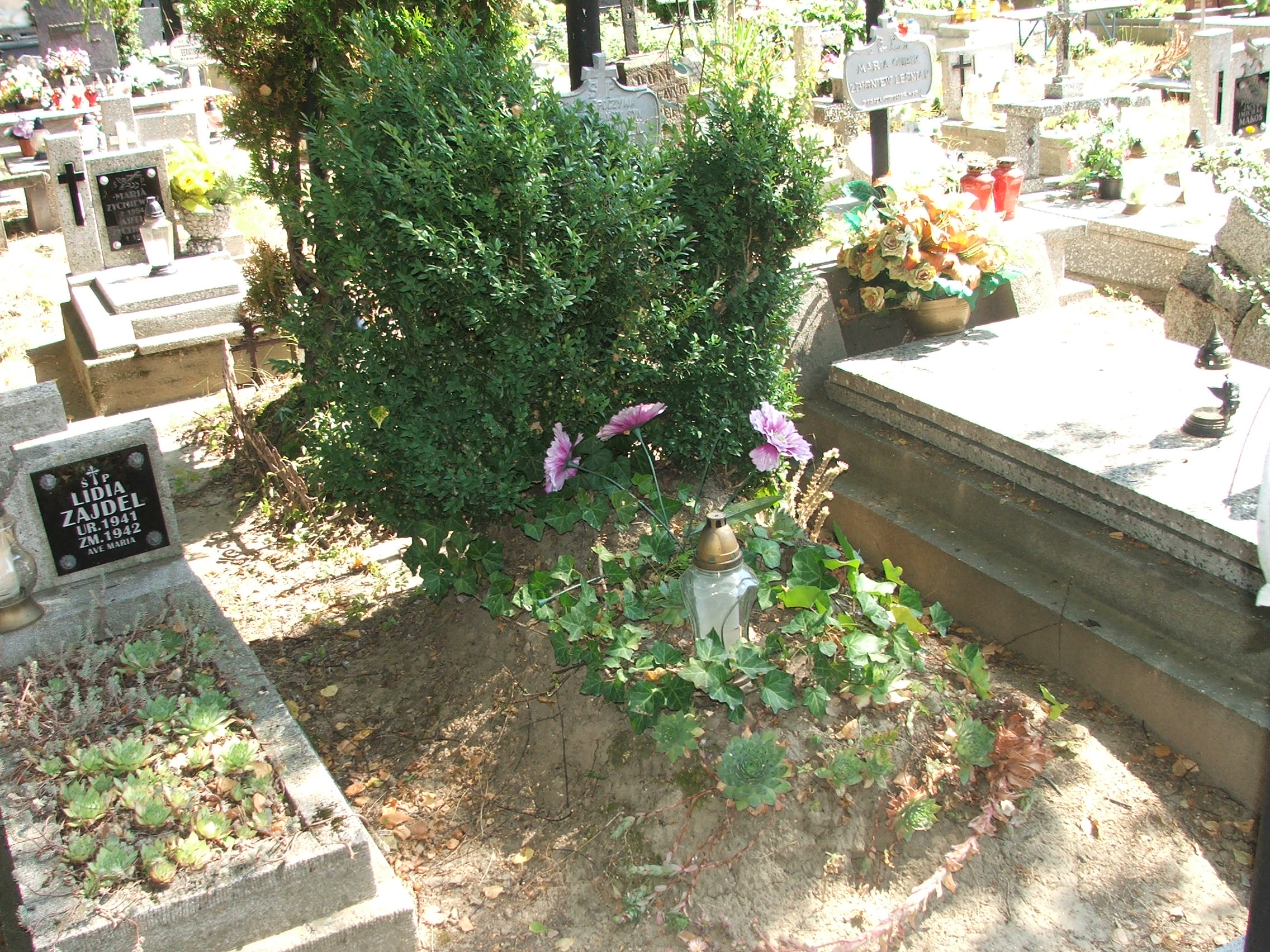 Tadeusz Gromek 1939 Krosno - Grobonet - Wyszukiwarka osób pochowanych