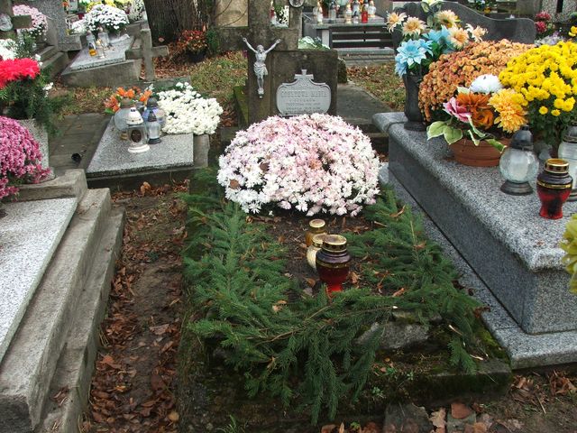 Maria Gonet 1900 Krosno - Grobonet - Wyszukiwarka osób pochowanych