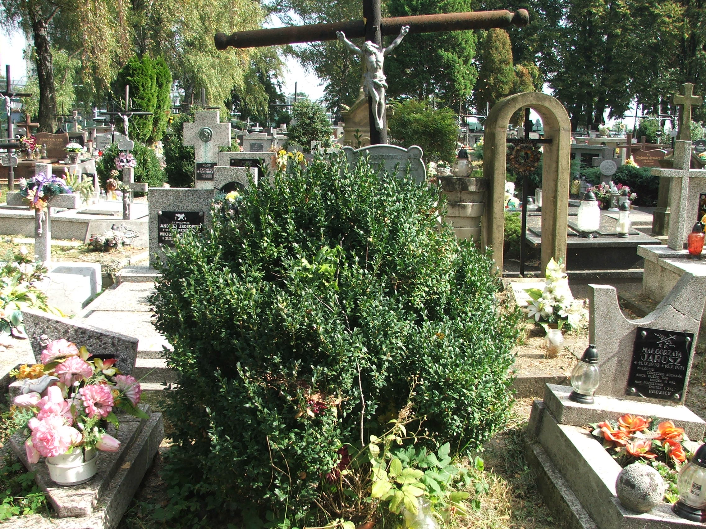 Katarzyna Zajdel Krosno - Grobonet - Wyszukiwarka osób pochowanych