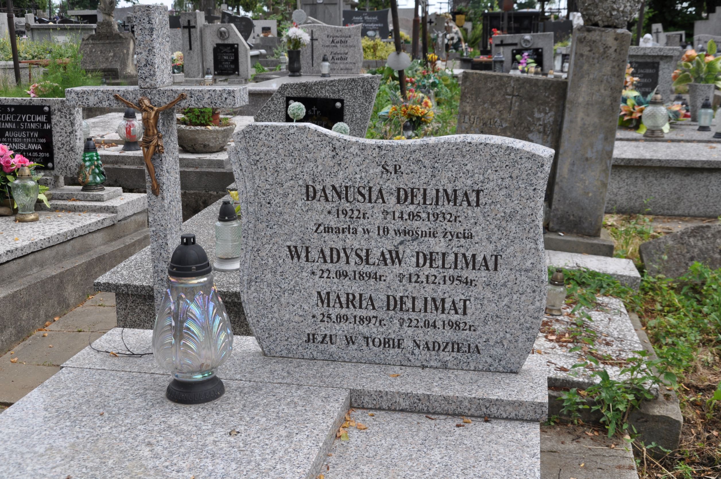 Władysław Delimat 1894 Krosno - Grobonet - Wyszukiwarka osób pochowanych