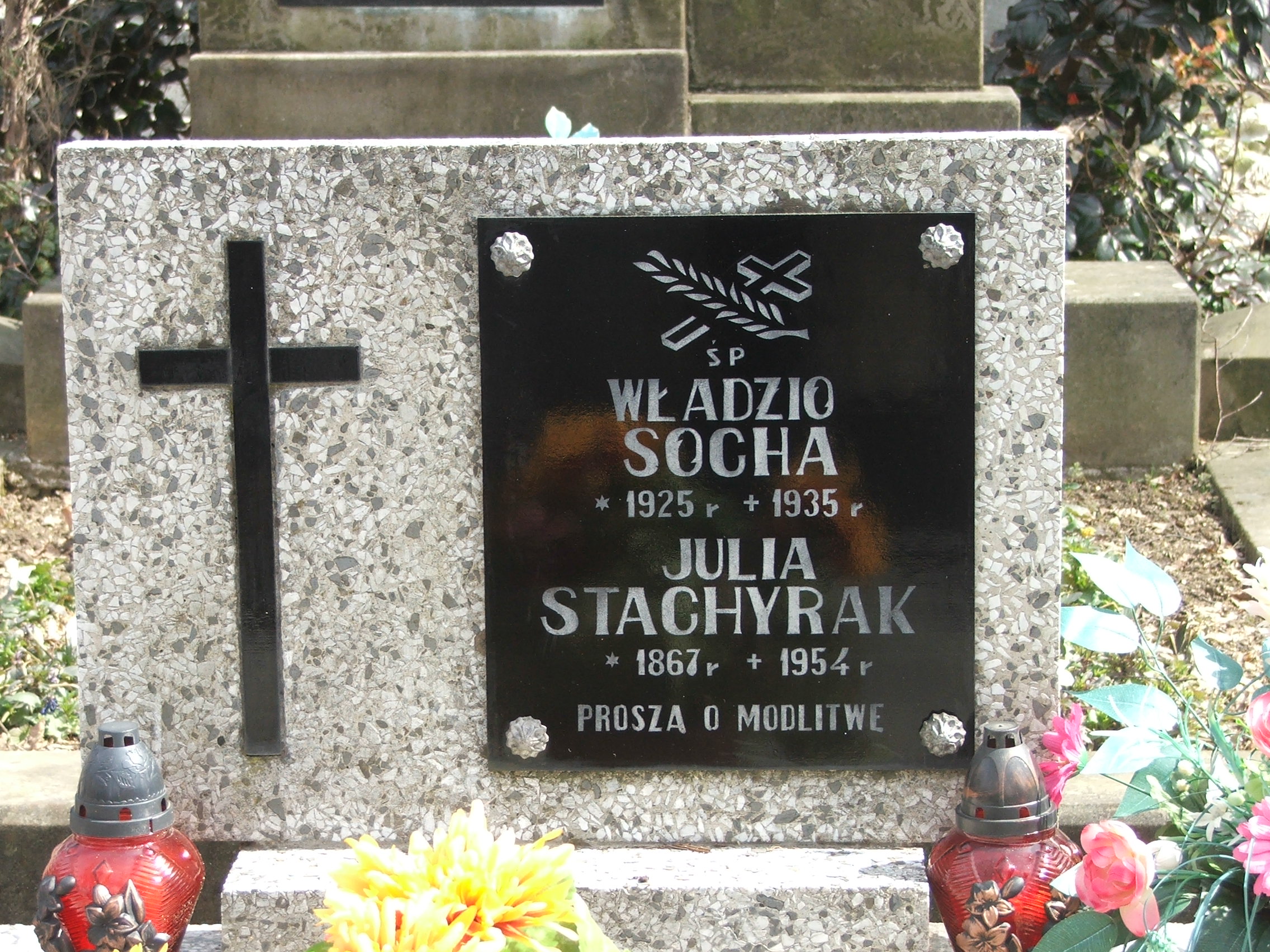 Julia Stachyrak 1867 Krosno - Grobonet - Wyszukiwarka osób pochowanych