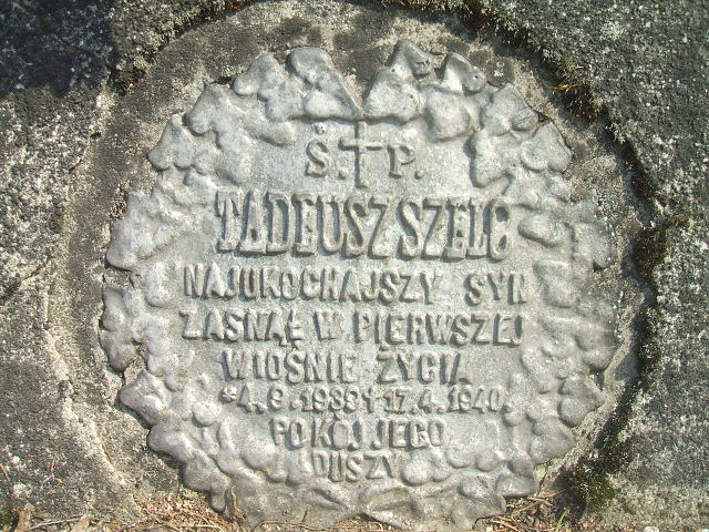 Tadeusz Szelc 1939 Krosno - Grobonet - Wyszukiwarka osób pochowanych