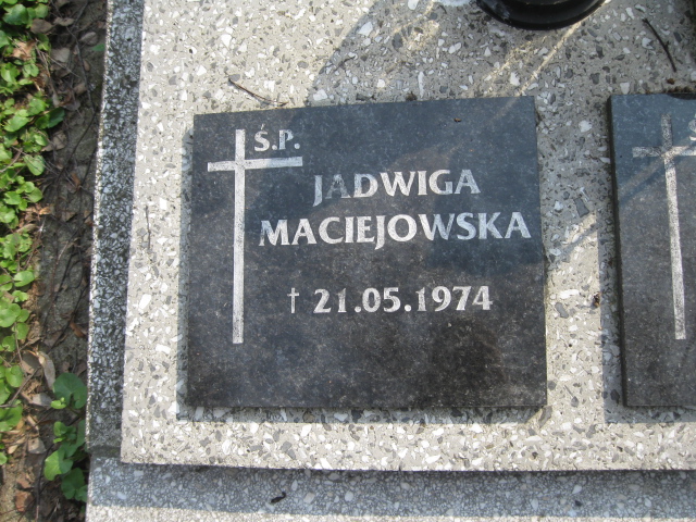Józefa Maciejowska 1870 Krosno - Grobonet - Wyszukiwarka osób pochowanych