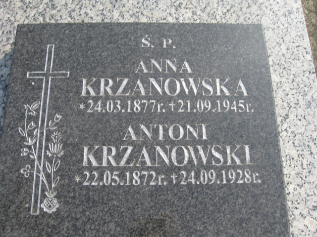 Anna Krzanowska 1877 Krosno - Grobonet - Wyszukiwarka osób pochowanych