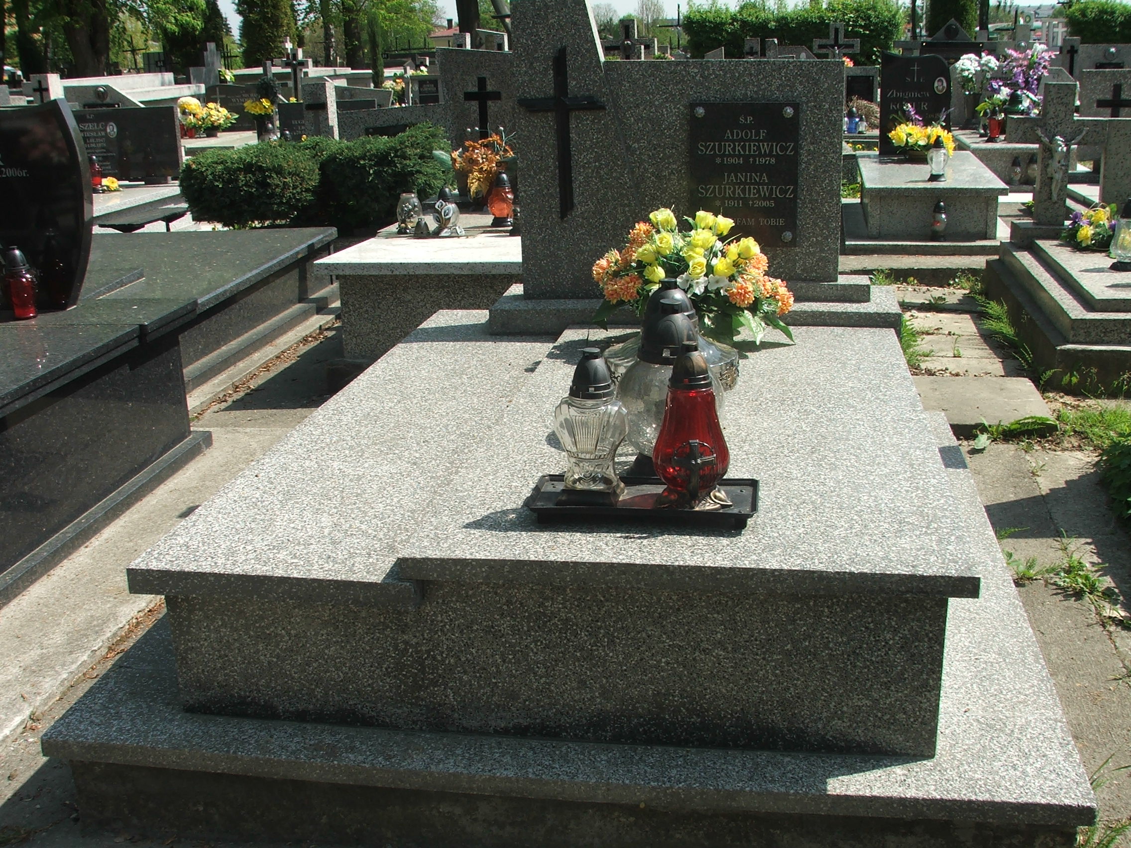 Adolf Szurkiewicz 1904 Krosno - Grobonet - Wyszukiwarka osób pochowanych