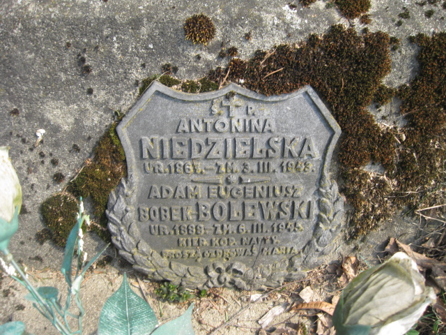 Adam Eugeniusz Bolewski 1888 Krosno - Grobonet - Wyszukiwarka osób pochowanych