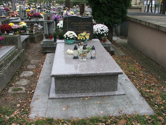 Julia Wojtyczek 1877 Krosno - Grobonet - Wyszukiwarka osób pochowanych