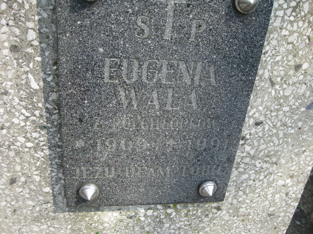 Aleksander Półchłopek 1895 Krosno - Grobonet - Wyszukiwarka osób pochowanych