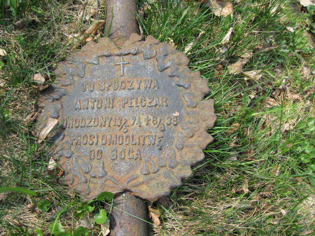 Antoni Pelczar 1874 Krosno - Grobonet - Wyszukiwarka osób pochowanych