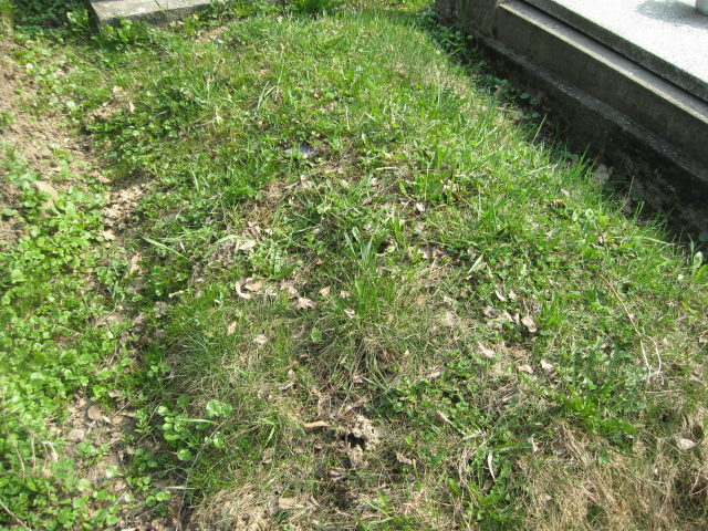  NN Krosno - Grobonet - Wyszukiwarka osób pochowanych