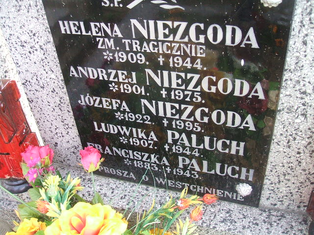 Ludwika Paluch 1907 Krosno - Grobonet - Wyszukiwarka osób pochowanych