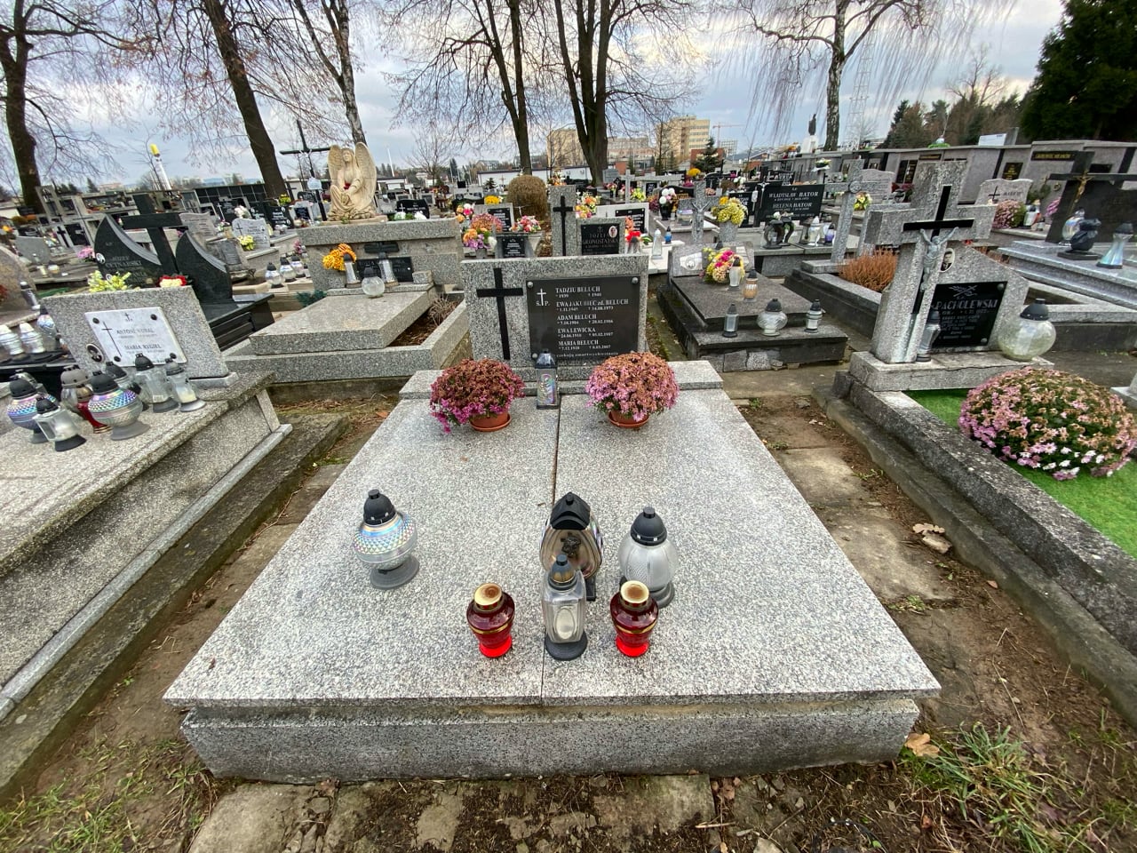 Tadeusz Beluch 1939 Krosno - Grobonet - Wyszukiwarka osób pochowanych