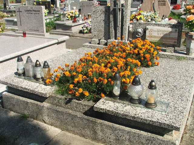 Stanisława Łysiak 1902 Krosno - Grobonet - Wyszukiwarka osób pochowanych