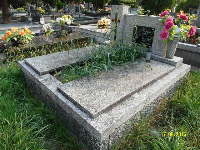 Grób Zygmunt Wajs