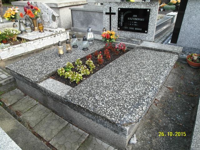 Jan Krzanowski 1919 Krosno - Grobonet - Wyszukiwarka osób pochowanych