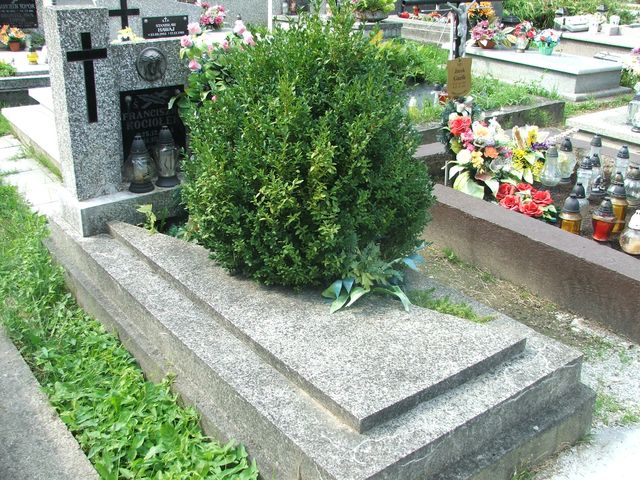 Franciszka Kociołek 1894 Krosno - Grobonet - Wyszukiwarka osób pochowanych