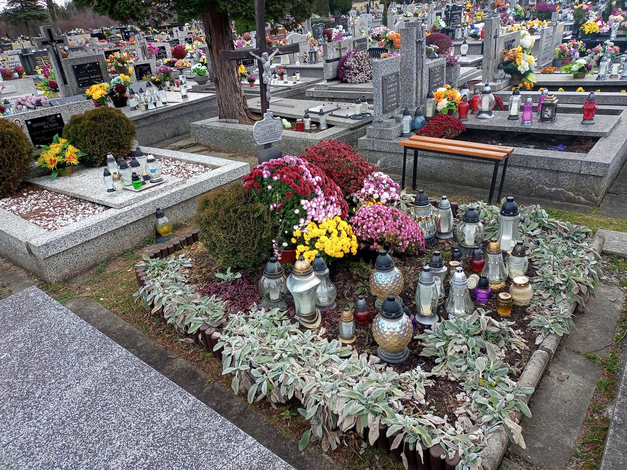 Grób Bronisław Wójtowicz