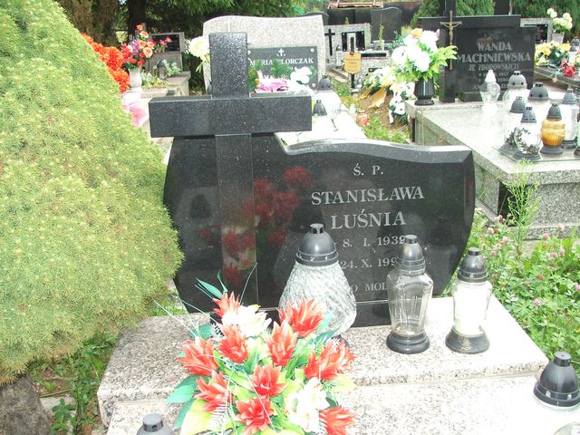 Grób Stanisława Luśnia