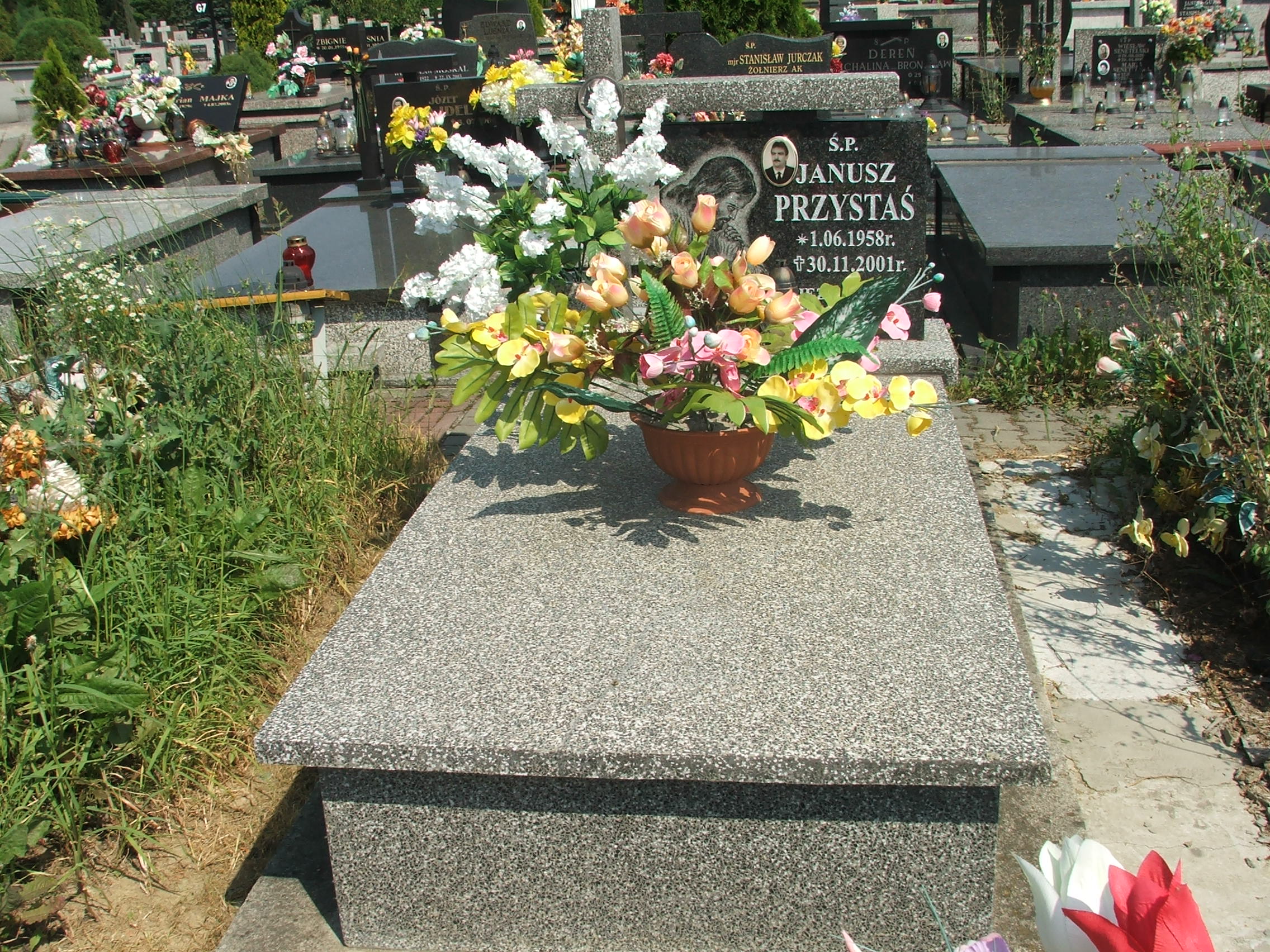 Grób Aleksandra Przystaś