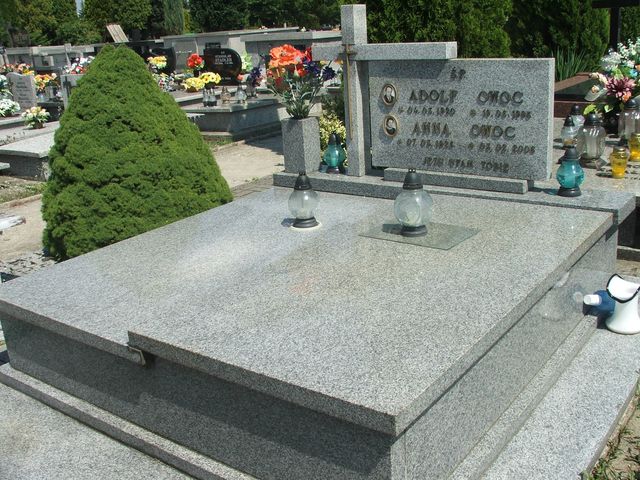 Grób Adolf Owoc