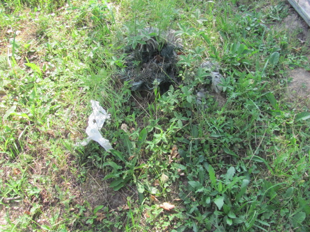  NN Krosno - Grobonet - Wyszukiwarka osób pochowanych