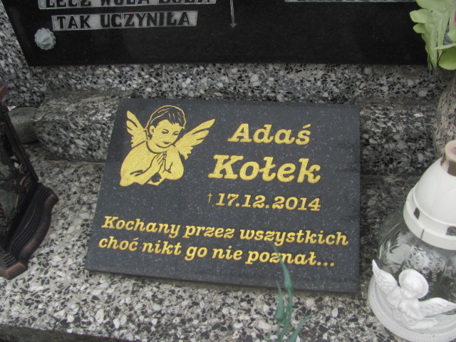 Adam Kołek 2014 Krosno - Grobonet - Wyszukiwarka osób pochowanych